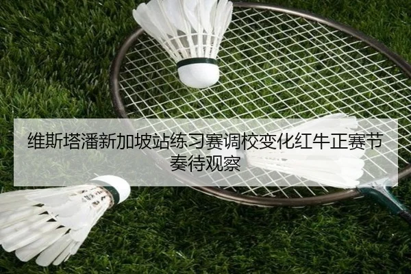 维斯塔潘新加坡站练习赛调校变化红牛正赛节奏待观察（www.jiuyou..comapp）